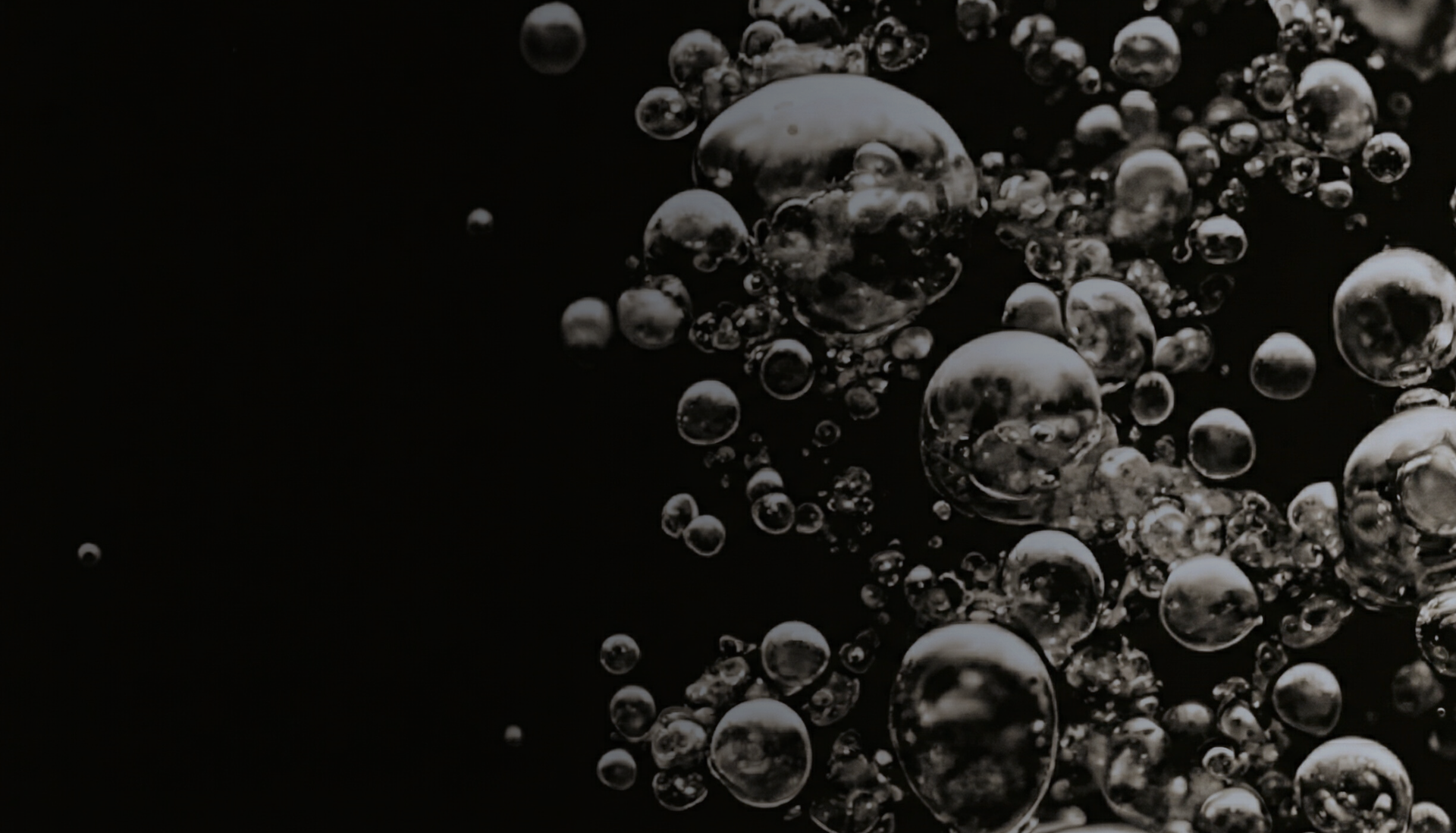 Close-up of bubbles floating in a liquid on a black background